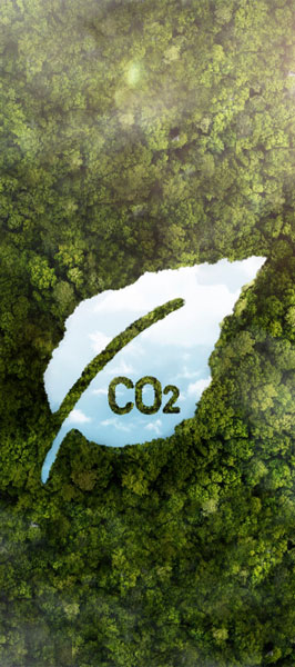 Eco conception site web